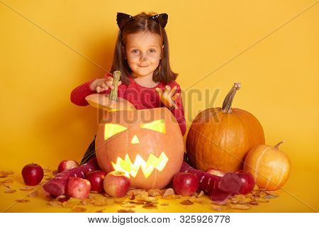 Horizontal Shot Of Girl Sitting Over Autumn Harvest - Pumpkin, Apples. Charming Toddler With Cat's E