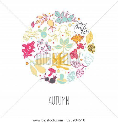 Illustration Autumn Background. Drawing Of Leaves And Fruits For The Background, For Souvenirs, Text