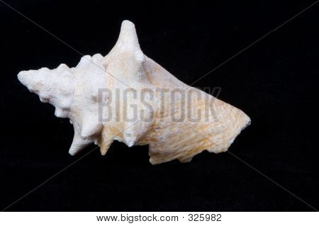 Isolerede Shell