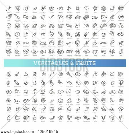 Thin Line Flat Design. Big Collection. 168 Vector Icons