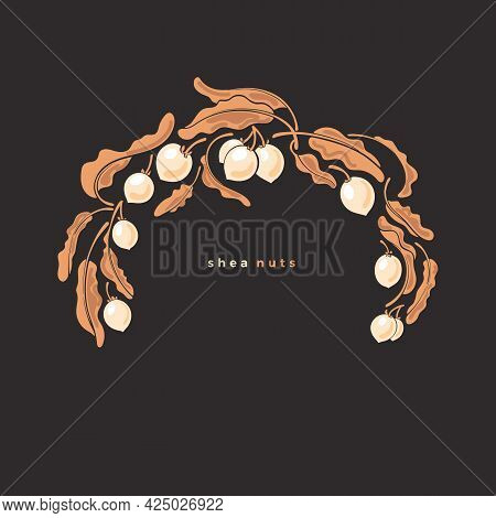 Shea Symbol. Circle Frame. Vector Golden Branch, Botany Leaves, Butter Nuts. Art Vintage Illustratio