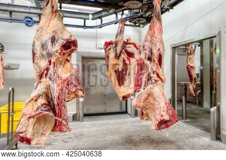 Chopped Beef Carcasses. Overhead Conveyor For Cow Carcasses, Meat Production.