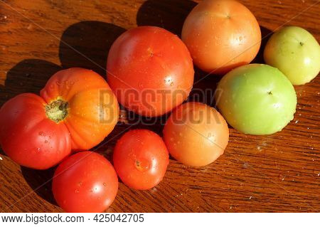 Wet Tomatoes In Different Shades And Ripeness Stage From Green To Red On A Wooden Table