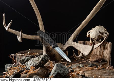 Knife On The Background Of A Deer Horn. Deer Antlers And Beaver Skull. Hunting Knife. Front View.