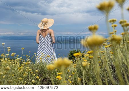 Rear View Of Young Woman Wearing Striped Summer Dress And Straw Hat Standing In Super Bloom Of Wildf