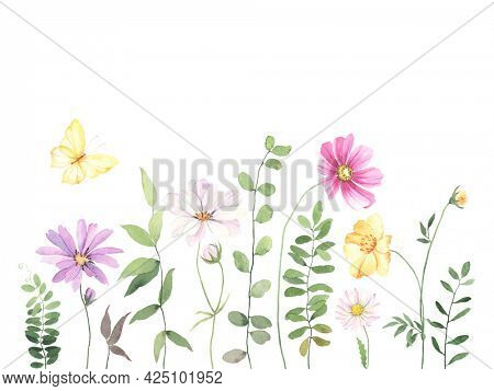 Card with flying butterfly, green plants, coreopsis and cosmos flowers, watercolor border isolated on white background. Summer print, wallpapers, ornament, delicate horizontal banner for your text.
