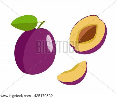 Ripe Plum Whole In A Purple Peel, Half A Plum With A Stone And A Plum Slice. Vector Illustration Of