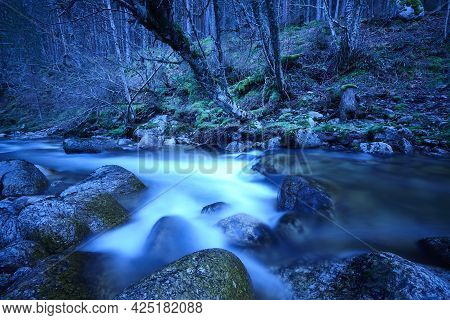 Forest And Creek By Night. Lozoya River In Madrid. Spain