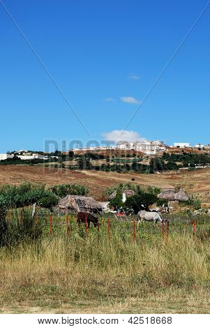 Małe gospodarstwa, Medina Sidonia, Andaluzja, Południowa Hiszpania.