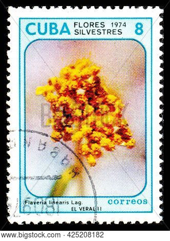 Cuba - Circa 1974: A Postage Stamp From Cuba Showing Garden Flowers Flaveria Linearis