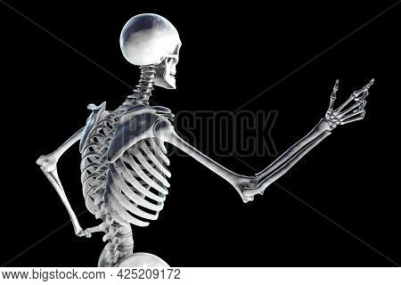 Human Skeleton In A Speaker Pose, Back View, Conceptual 3d Illustration. Anatomy, Medicine And Scien