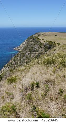 Cape Bridgewater