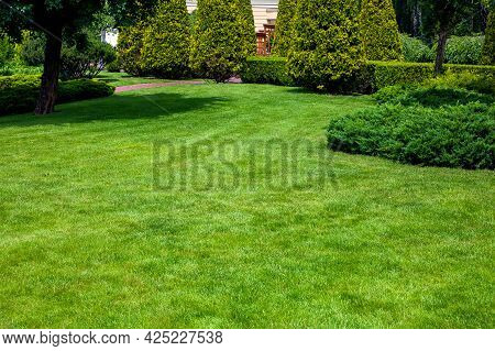 A Park With Evergreen Arborvitae Thujas And Evergreen Hedge Among The Deciduous Trees Of The Garden 