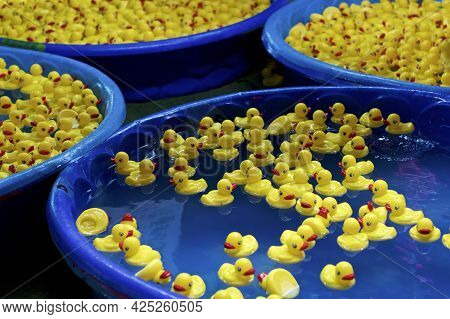 Numerous  Blue Kiddie Pools Full Of Yellow Rubber Ducks At Carnival Or Amusement Park.