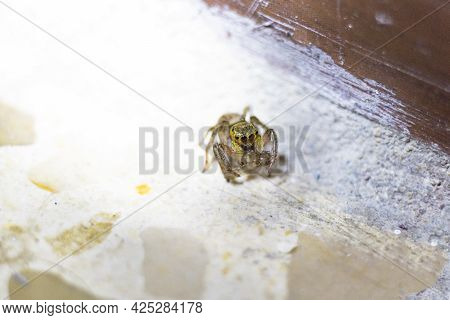 Macro Shooting Of Natural Rock Specimen. Raw Crystal Of Citrine Yellow Quartz Gemstone From Brazil. 