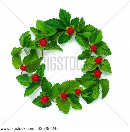 Round Garland  From  Leaves And Berries, Isolated On White Background, Flat Lay, Top View. The Conce