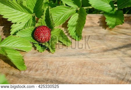 Wild Strawberry Berries And Leaves On Wooden Background With Copy Space. Summer Background. Concept