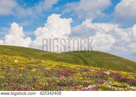 Valsorda Mountain With Colored Wild Flowers And Cumulonimbus On Spring Day