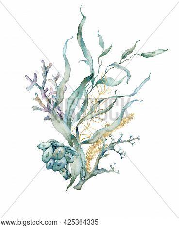 Watercolor Tropical Card Of Gold Laminaria And Linear Corals. Underwater Bouquet Of Plant And Corals
