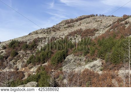 Landscape Of Rhodope Mountains Near Borovitsa Reservoir, Bulgaria