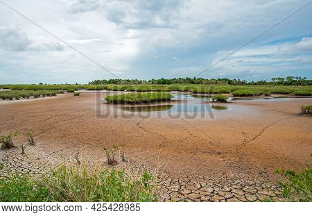 Dry Conditions At Merritt Island National Wildlife Refuge.
