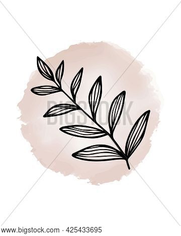 Branch With Leaves On Watercolor Round Spot Background. Hand Drawn Plant Sprig For Social Media Cove