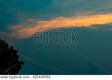 Extremely Beautiful Blue And Orange Clouds With Some Mahogoni Leaf And Stalk
