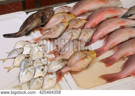 Billingsgate Fish Market In London, Uk. Red Snapper And Red Sea Bream.