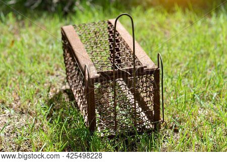 Empty  Old Steel Cage For Mousetrap Placed On  Green Grass. The Rat Trap Is Stil