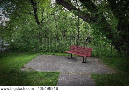 A Single Brown Bench And A Path In Focus In A Secluded Quiet Corner Surrounded By Trees In A Cozy Sh