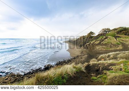 Muriwai Beach Which Is Located At Muriwai Regional Park,it Is On The West Coast Of The North Island 