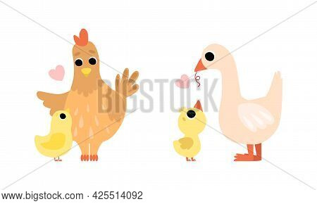 Cute Little Baby Birds And Their Moms Set, Adorable Hen And Goose Poulrty Cartoon Vector Illustratio