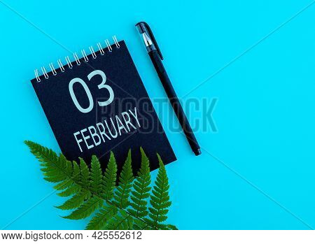 February 3th. Day 3 Of Month, Calendar Date. Black Notepad Sheet, Pen, Fern Twig, On A Blue Backgrou