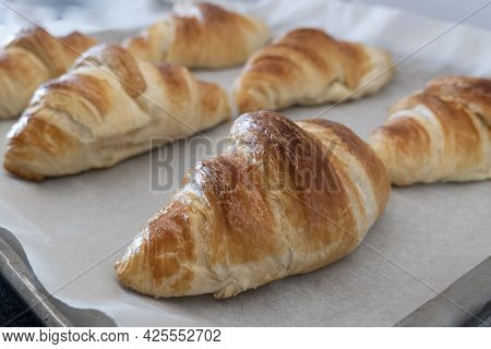 Croissant Baked Fresh On Board With Baking Paper For Homemade Breakfast