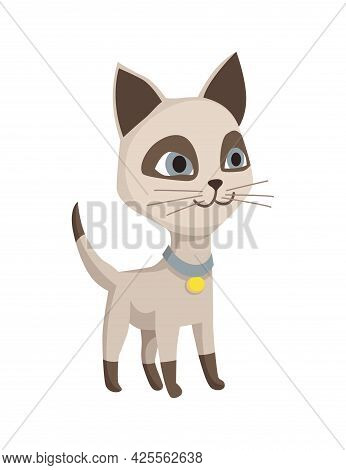 Cartoon Cat Character. Siamese Colorpoint Pet. Adorable Domestic Cat Playing. Funny Happy And Playfu