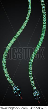 Set Of Two Vector Paradise Tree Snake, Chrysopelea Paradise Colored To Green And Blue Color Isolated
