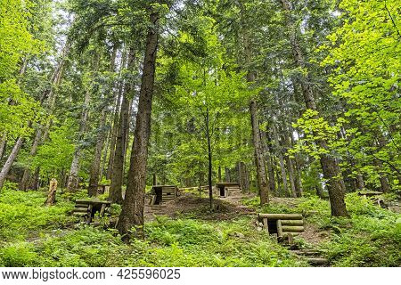 Military Bunkers In The Forest, Dukla Battlefield, Slovak Republic. Travel Destination.