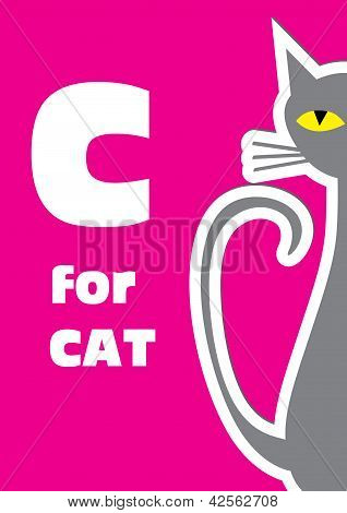 C For The Cat