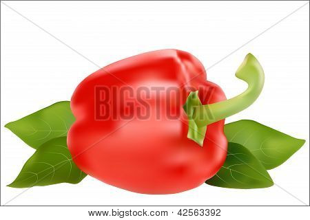 Pepper
