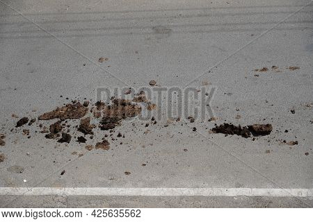 Cow Dung On An Asphalt Road Hit By The Wheel Of The Car Pedal. Trd