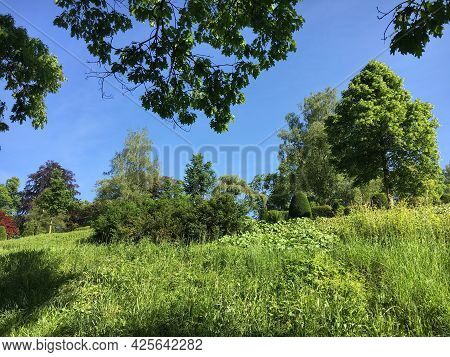 Park At Feldli Cemetery In Saint Gallen (park Auf Dem Friedhof Feldli In Sankt Gallen), St. Gallen -