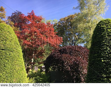 Park At Feldli Cemetery In Saint Gallen (park Auf Dem Friedhof Feldli In Sankt Gallen), St. Gallen -