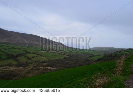 Green Rolling Fields And Hills On The Dingle Peninsula In Ireland.