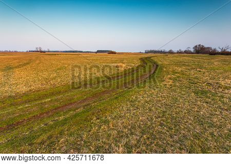 Spring At Warta River In Warta Landscape Park, Nature 2000, Greater Poland, Poland.
