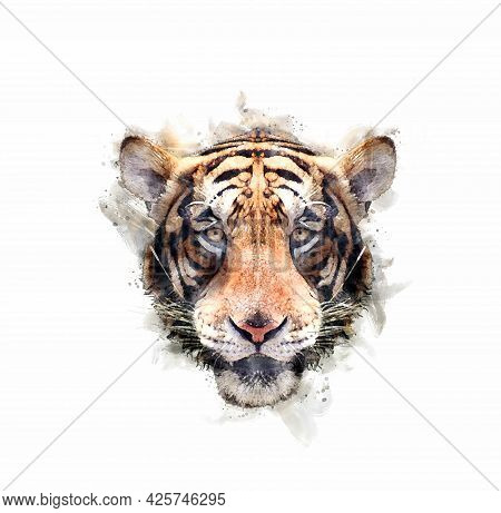 Portrait Of The Tiger Headi Watercolor Style.