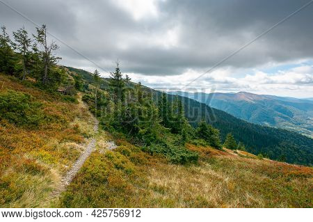 Mountain Landscape In Dramatic Weather. Beautiful Carpathian Countryside In Autumn. Coniferous Trees