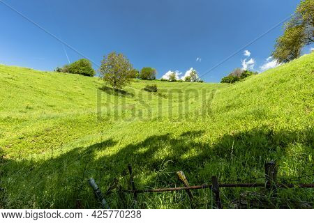 Flowering Hills In Spring On The Lessini Mountains In The Province Of Vicenza Veneto Italy