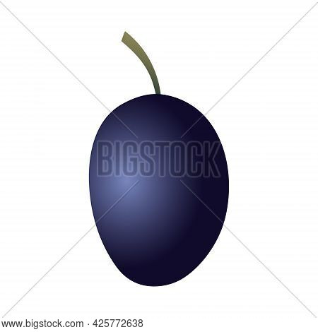 Isolated Oval Flat Art Prune With A Stem In Dark Blue Color On White Background