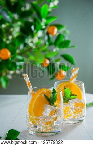 Two Refreshing Fruits Cocktails With Orange, Mint And Ice On White Table With A Citrus Tree Backgrou