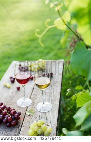 White And Red Wine Glasses And Grape On The Wooden Table In The Vineyards, Winery With Green Grass B
